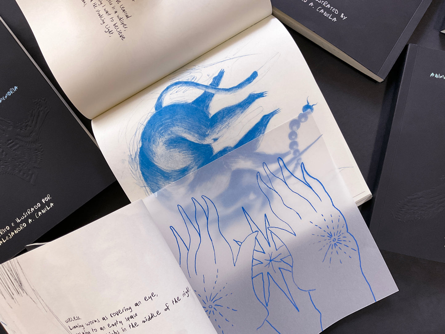 Book / Creatures Without Memory