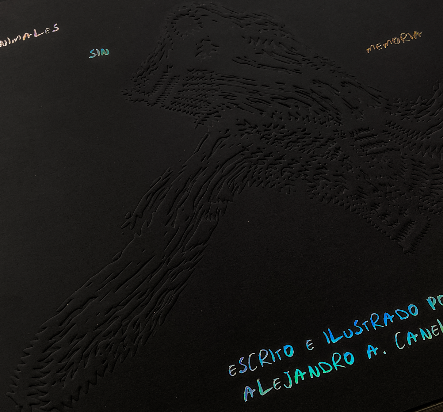 Book / Creatures Without Memory